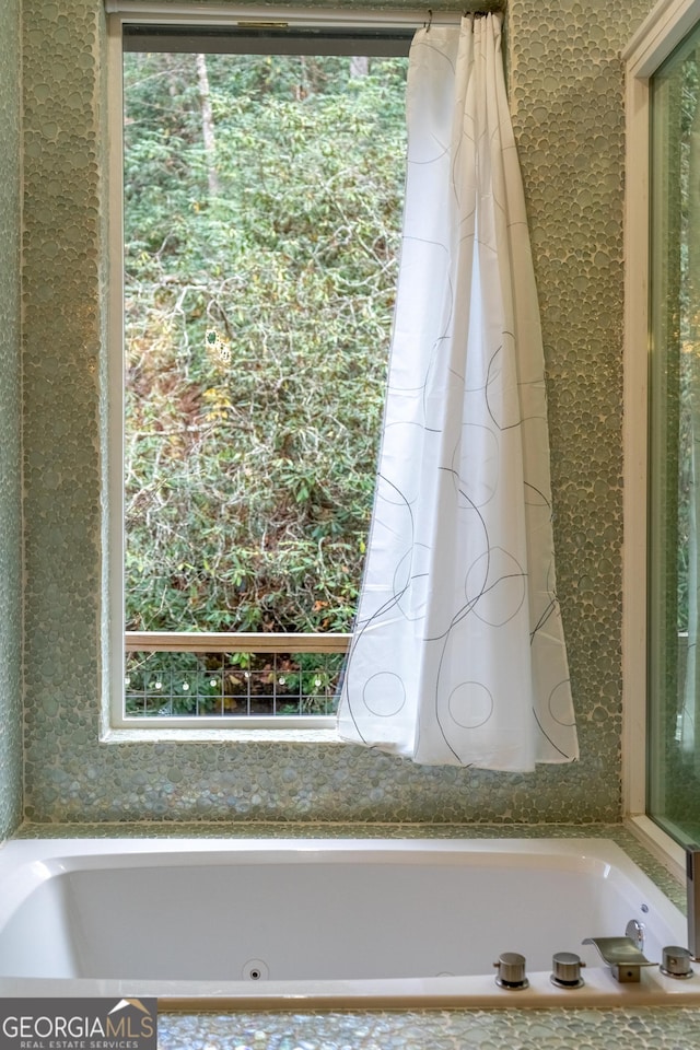 bathroom featuring a washtub