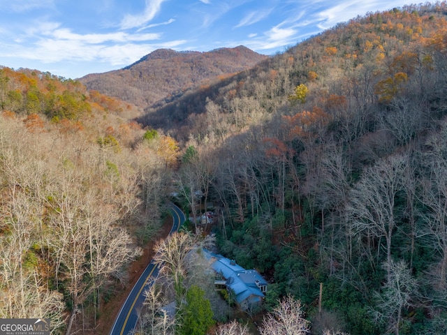 view of mountain feature