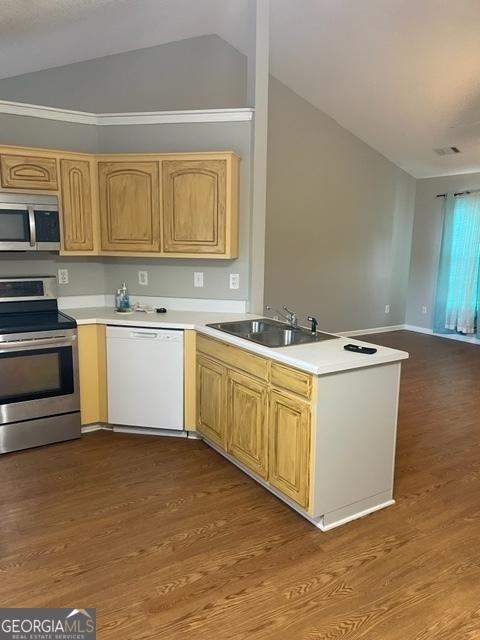 kitchen with kitchen peninsula, stainless steel appliances, wood-type flooring, and sink