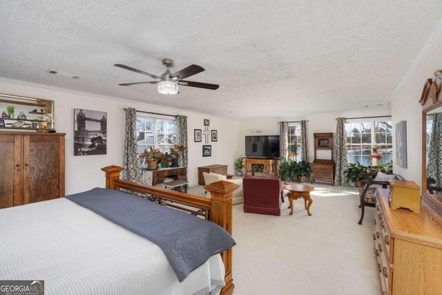 carpeted bedroom featuring ceiling fan, a textured ceiling, and multiple windows