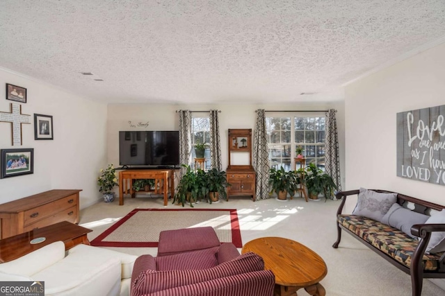 carpeted living room with a textured ceiling