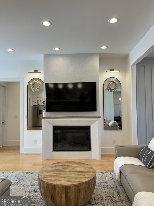 living room featuring light hardwood / wood-style floors