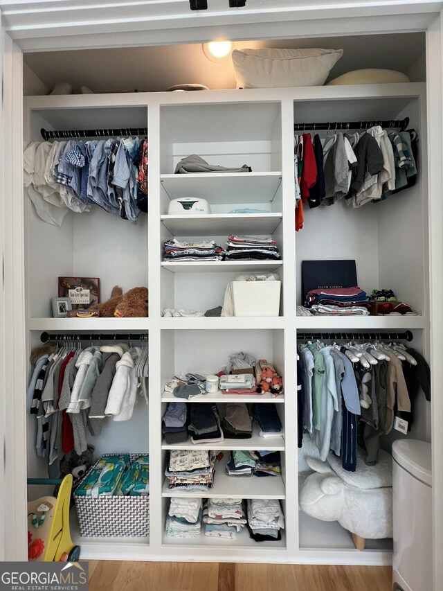 view of closet