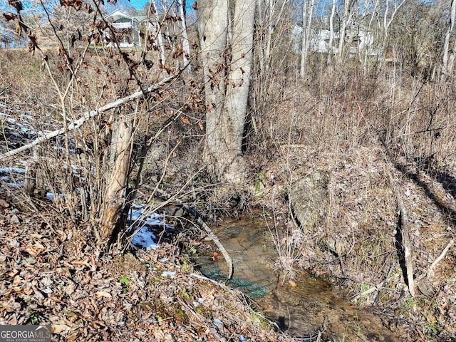 view of local wilderness with a water view