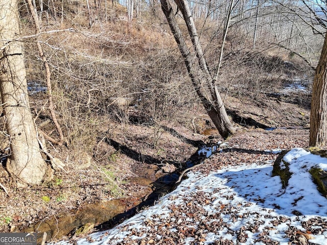 view of landscape