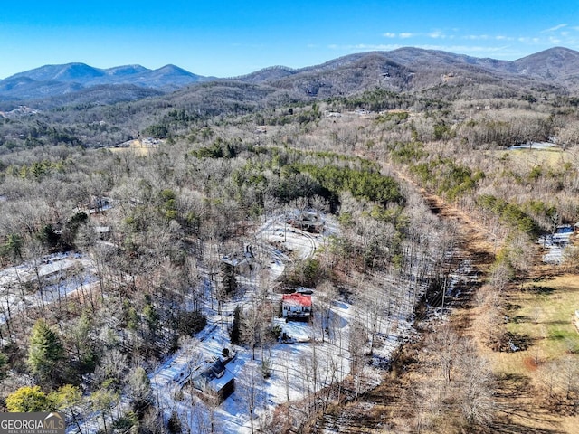 aerial view with a mountain view