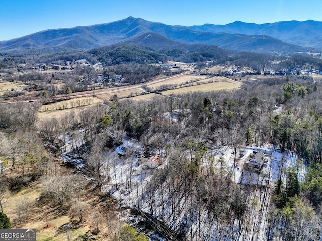 bird's eye view featuring a mountain view