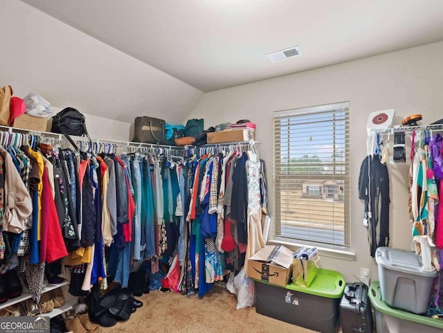 walk in closet featuring vaulted ceiling and carpet