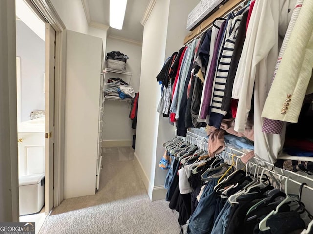 walk in closet featuring light colored carpet