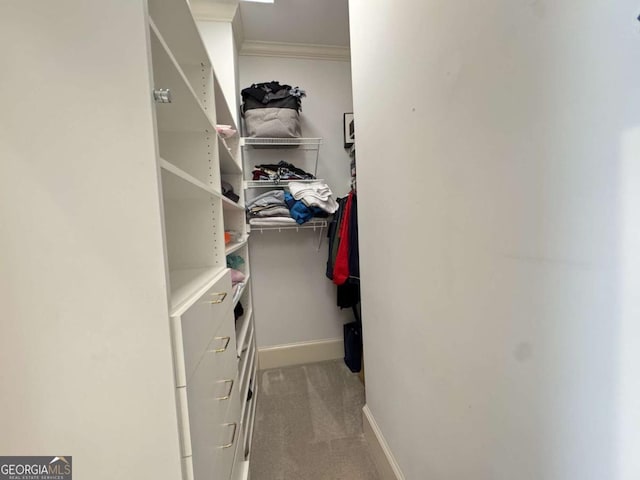 spacious closet featuring light carpet