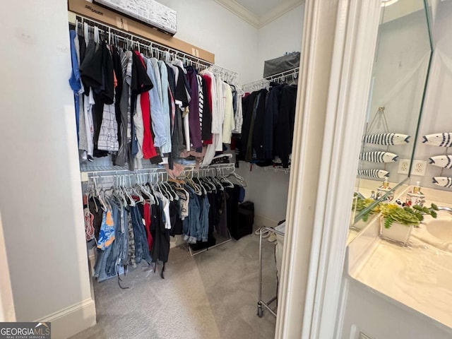 spacious closet with carpet