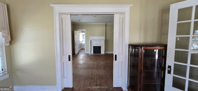 hallway featuring dark hardwood / wood-style flooring