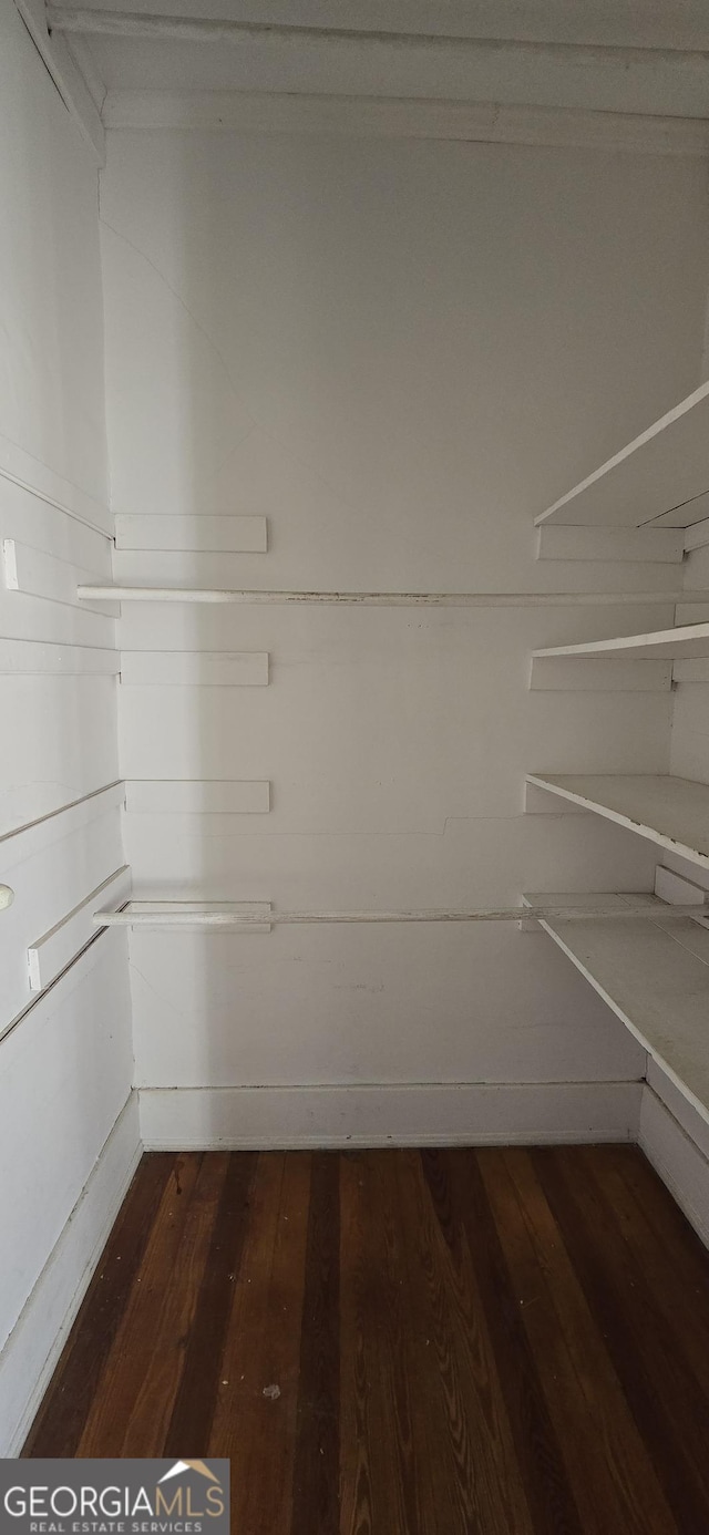 spacious closet featuring dark wood-type flooring