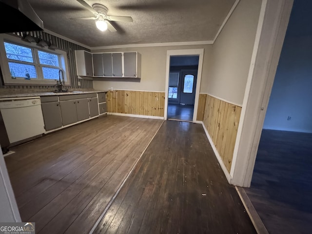 kitchen featuring wood walls, sink, white dishwasher, dark wood-type flooring, and a textured ceiling