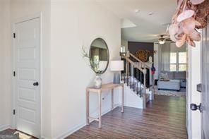 foyer with ceiling fan and dark hardwood / wood-style flooring