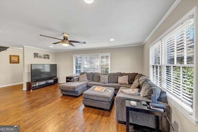 living area featuring a wealth of natural light, ceiling fan, crown molding, and wood finished floors