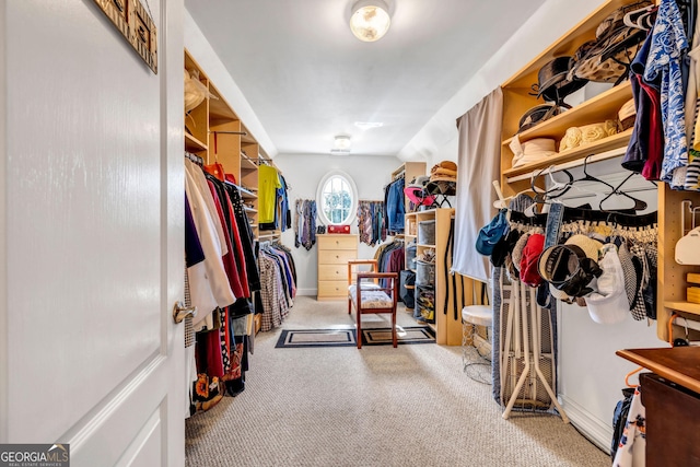 spacious closet with carpet floors