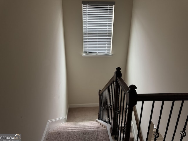 staircase featuring carpet flooring