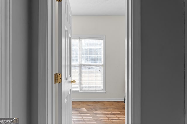 corridor with plenty of natural light, a textured ceiling, and light hardwood / wood-style floors