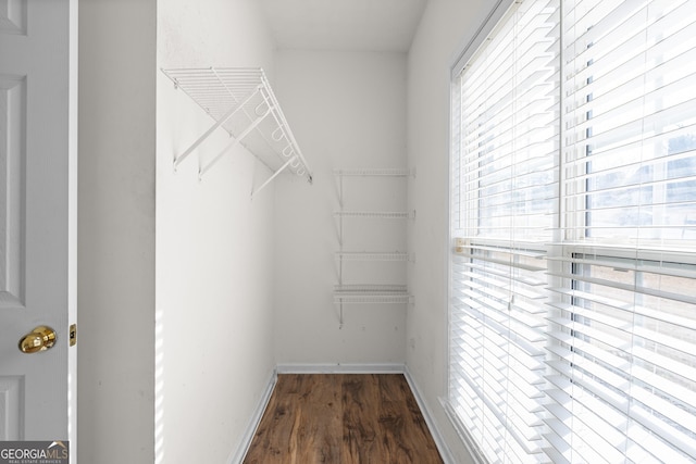 walk in closet with dark hardwood / wood-style flooring