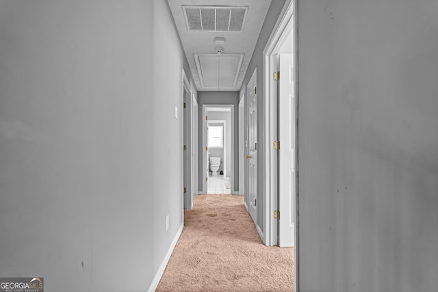 hall featuring light colored carpet