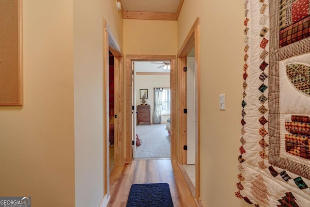 hall featuring crown molding and light hardwood / wood-style floors