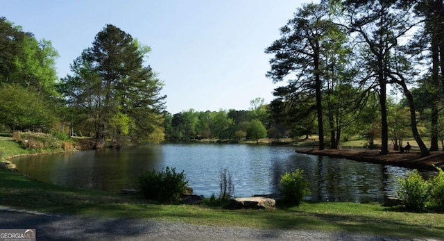 view of water feature