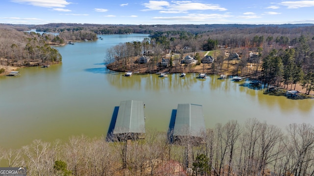 drone / aerial view with a water view and a view of trees