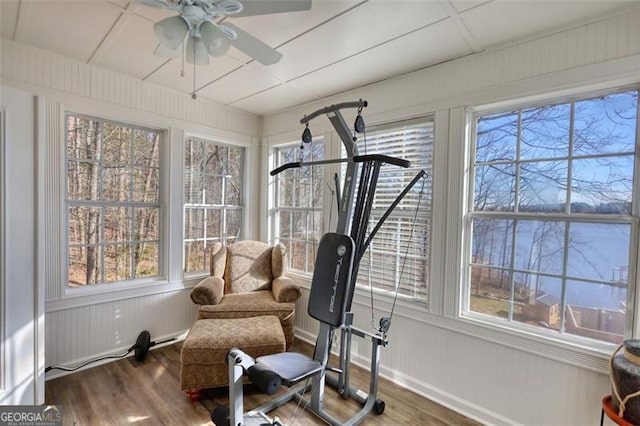 interior space with ceiling fan and hardwood / wood-style flooring