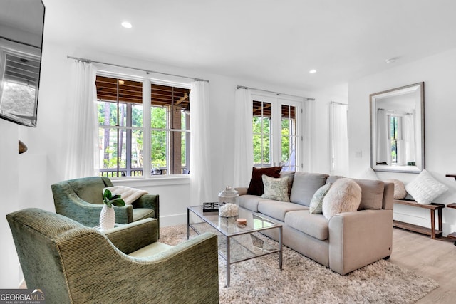 living room with light wood-type flooring and a healthy amount of sunlight