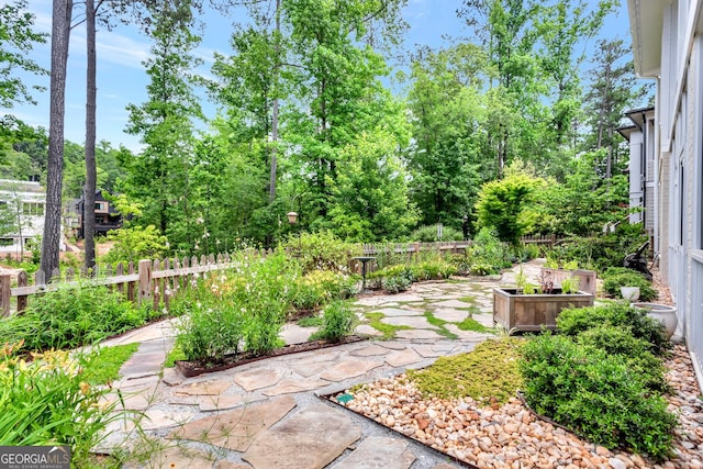 view of yard featuring a patio area