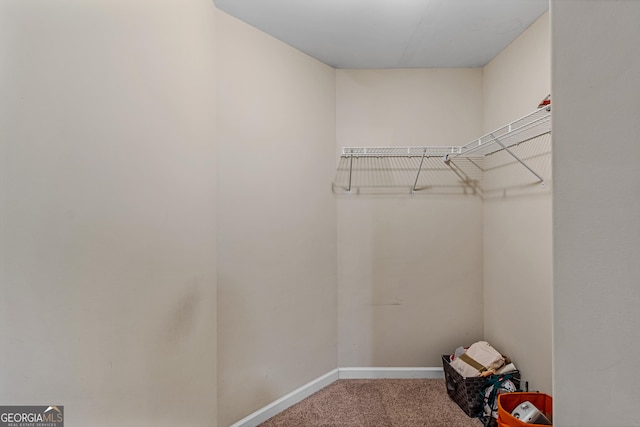 spacious closet with carpet flooring