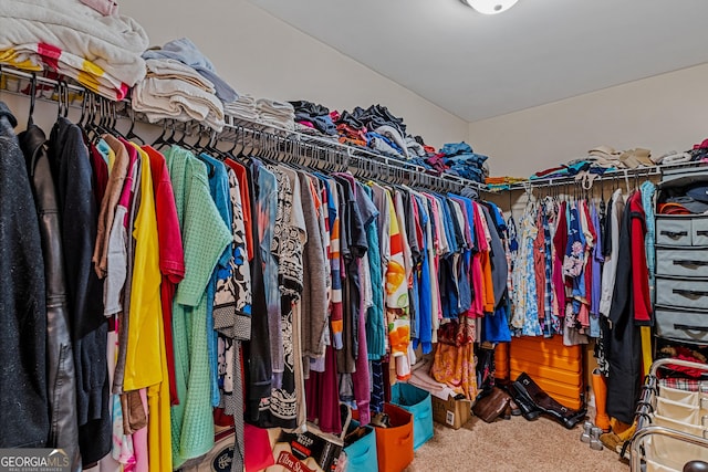 walk in closet with carpet floors