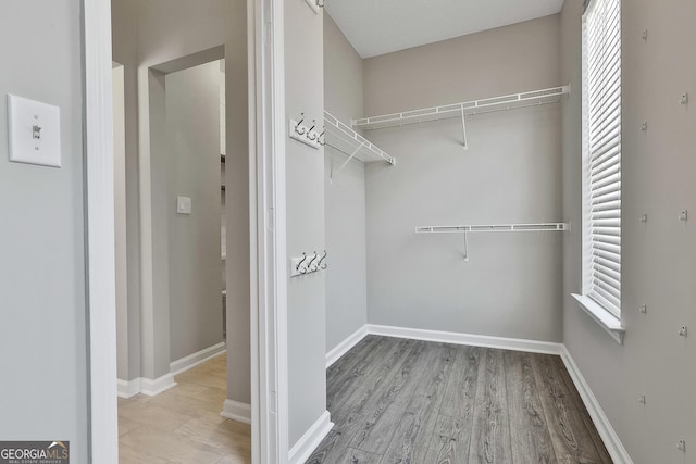 spacious closet with light hardwood / wood-style flooring