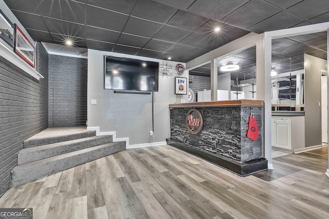 bar featuring hardwood / wood-style floors and a paneled ceiling