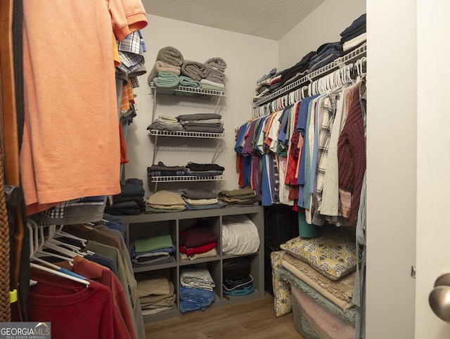 walk in closet with hardwood / wood-style floors