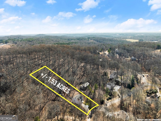 aerial view with a forest view