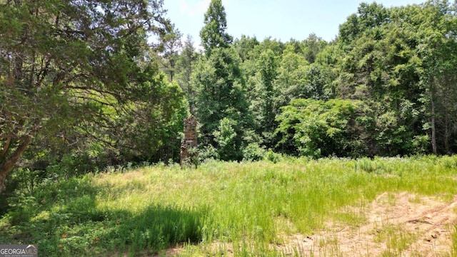 155AC Megan Trace Dr, Turtletown TN, 37391 land for sale