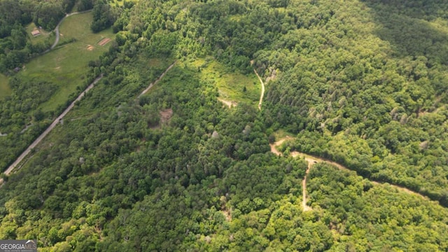 155AC Megan Trace Dr, Turtletown, TN 37391