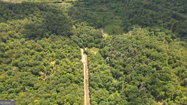 155AC Megan Trace Dr, Turtletown, TN 37391