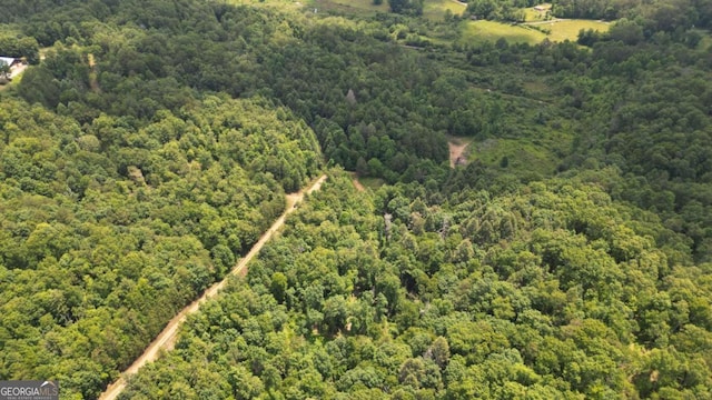 155AC Megan Trace Dr, Turtletown, TN 37391