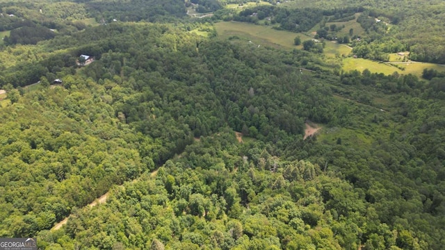155AC Megan Trace Dr, Turtletown, TN 37391