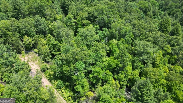 155AC Megan Trace Dr, Turtletown, TN 37391