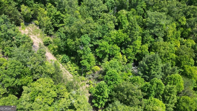 155AC Megan Trace Dr, Turtletown, TN 37391