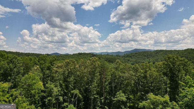 155AC Megan Trace Dr, Turtletown, TN 37391