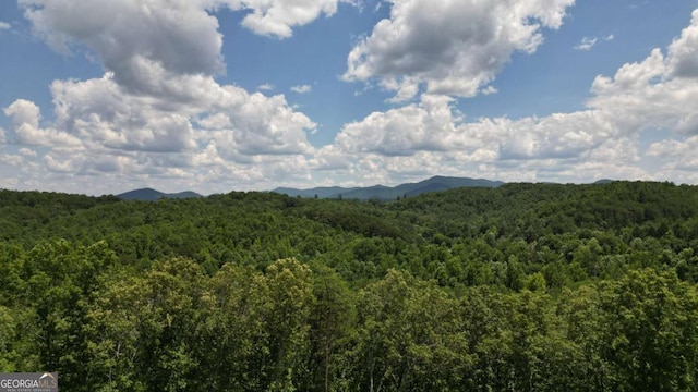 155AC Megan Trace Dr, Turtletown, TN 37391
