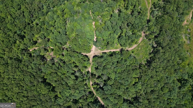 155AC Megan Trace Dr, Turtletown, TN 37391