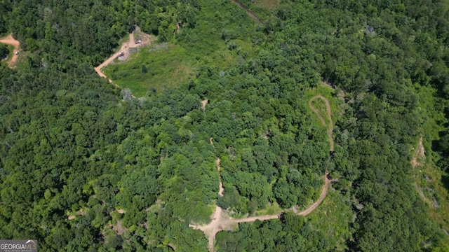 155AC Megan Trace Dr, Turtletown, TN 37391