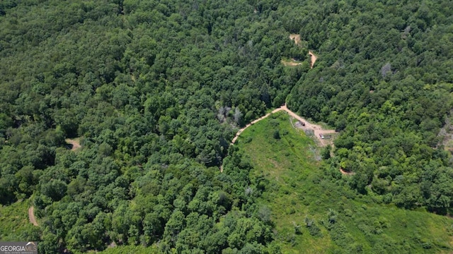 155AC Megan Trace Dr, Turtletown, TN 37391