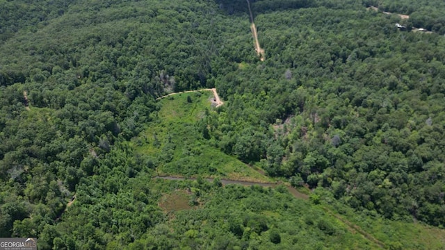 155AC Megan Trace Dr, Turtletown, TN 37391